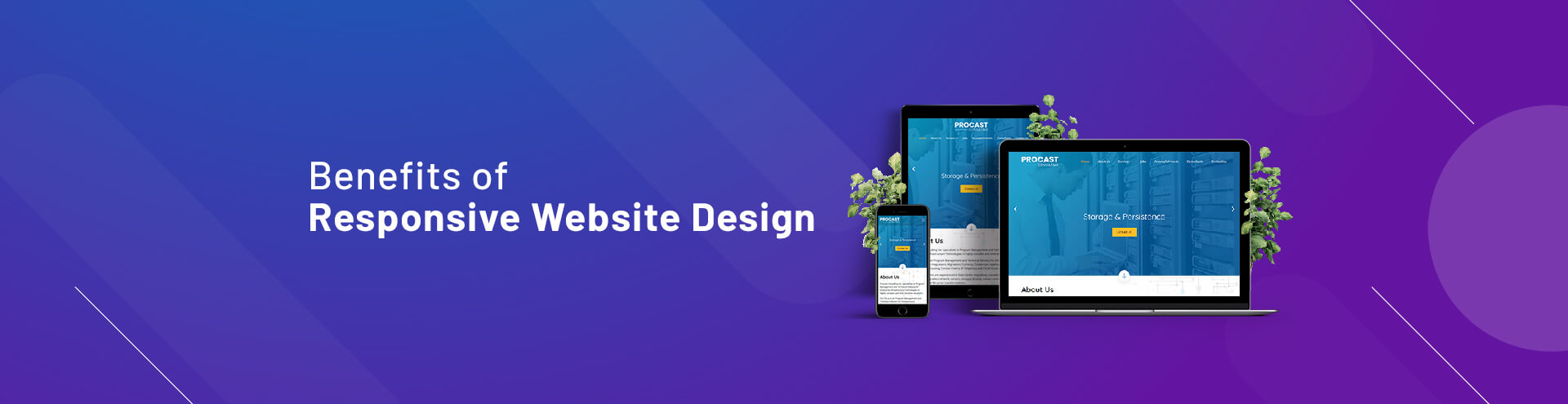 Responsive Web Design Services In The USA | Affordable Packages