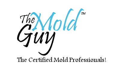 The Mold Guy Logo