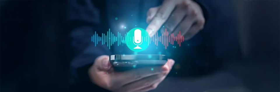 Voice Search Optimization