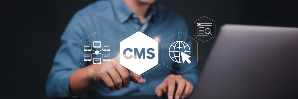 Custom Software vs SaaS